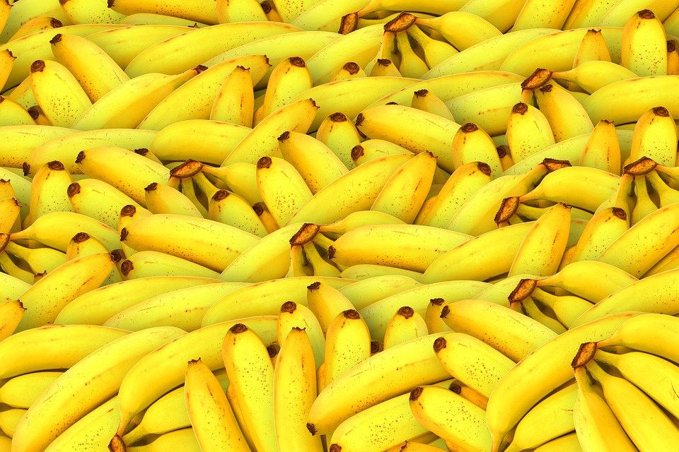 are bananas good for the cane paratore