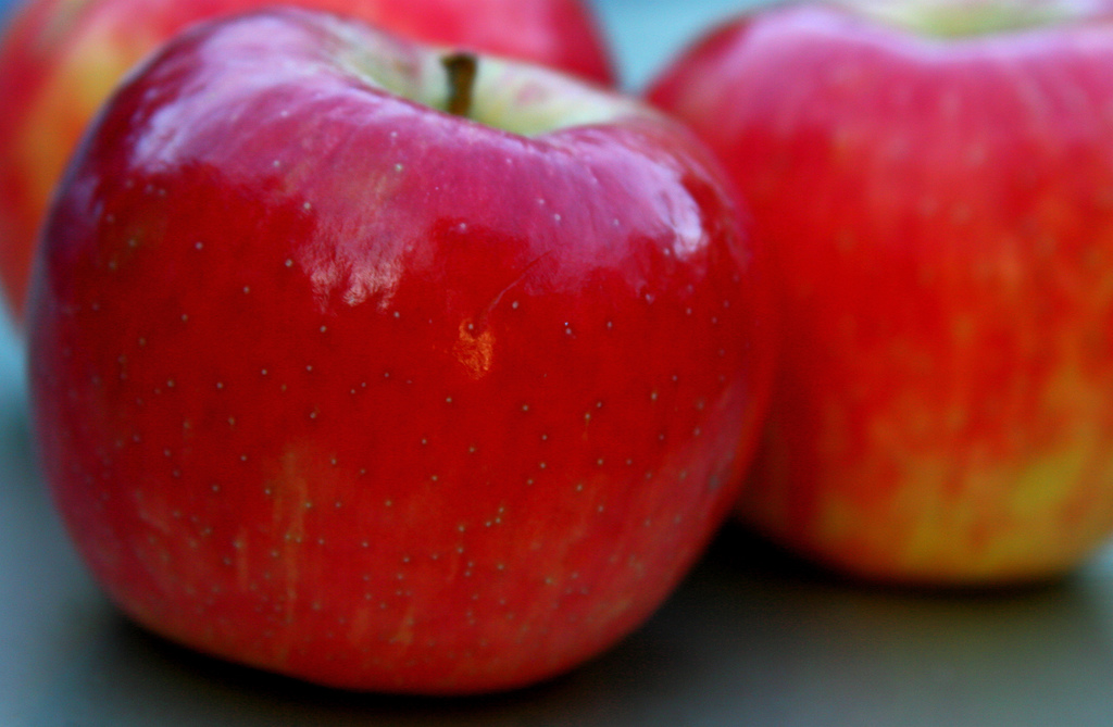 can dogs eat apple seeds