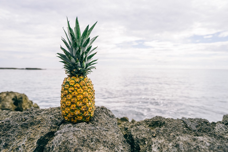 Can Cats Eat Pineapple Tinned Fresh And Juice All Covered