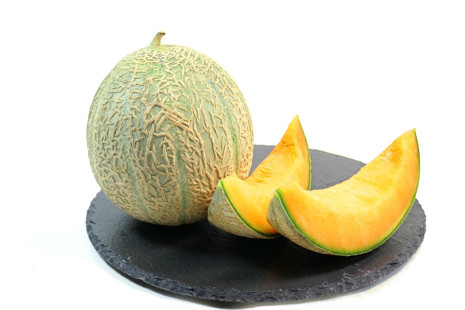 Can Rabbits Eat Melon? (Cantaloupe, Honeydew)